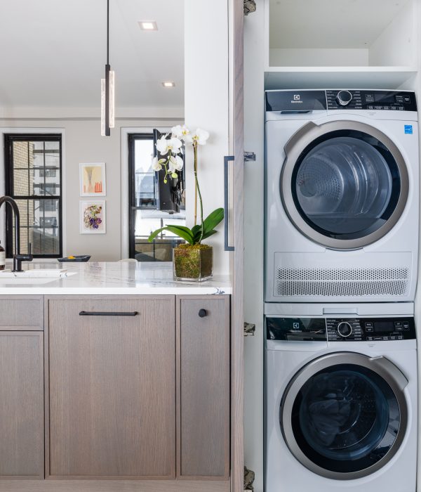 Compact laundry room with stacked front-loading washer and dryer, light wood cabinetry, and white countertops. A potted plant adds a touch of greenery to the clean and organized design, maximizing storage in a small footprint.